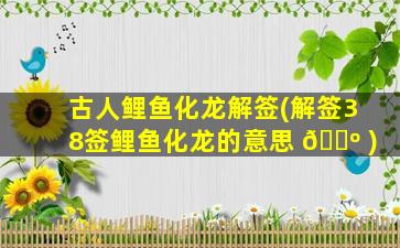 古人鲤鱼化龙解签(解签38签鲤鱼化龙的意思 🌺 )
